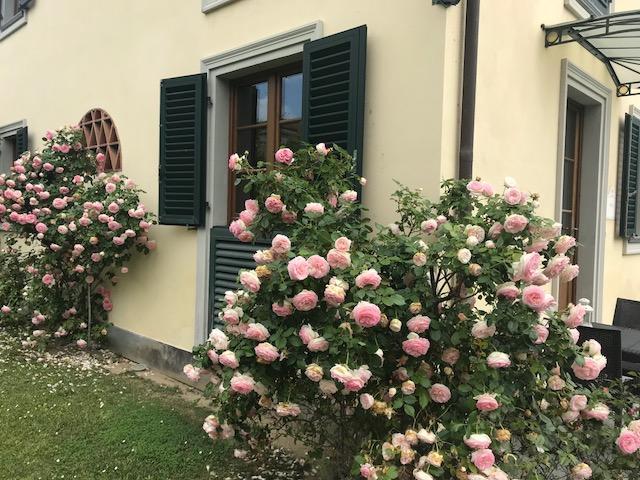 ماساروسا Residence Prunali المظهر الخارجي الصورة